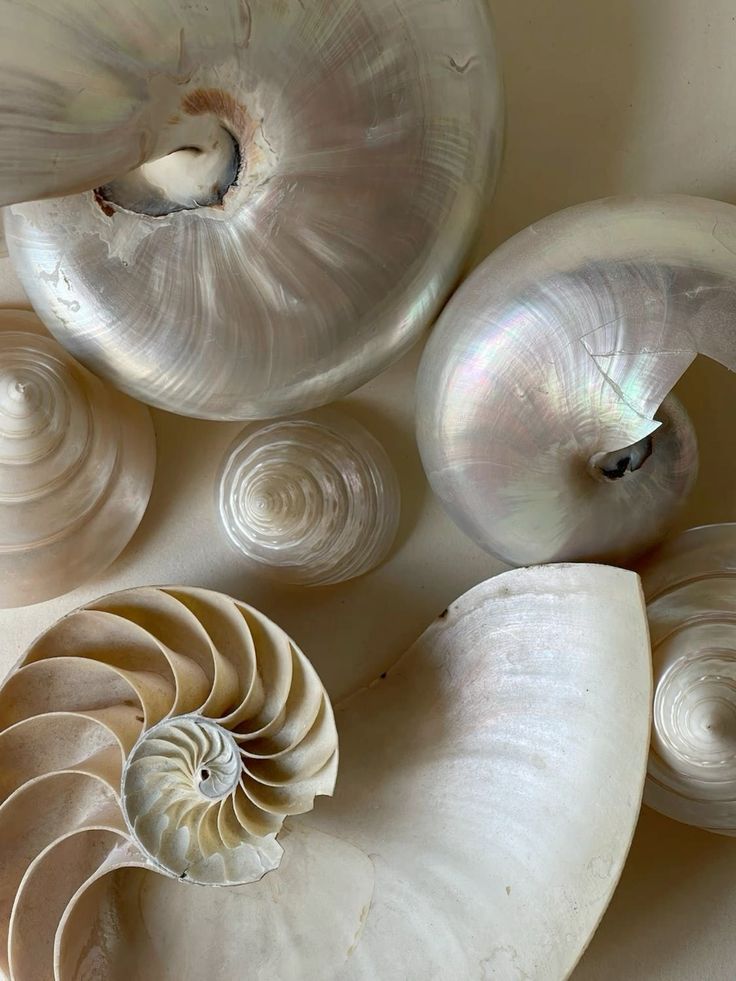 What is Mother of Pearl?